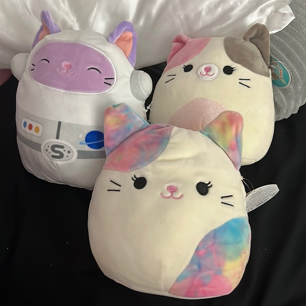Cat Mini squishmallow bundle!